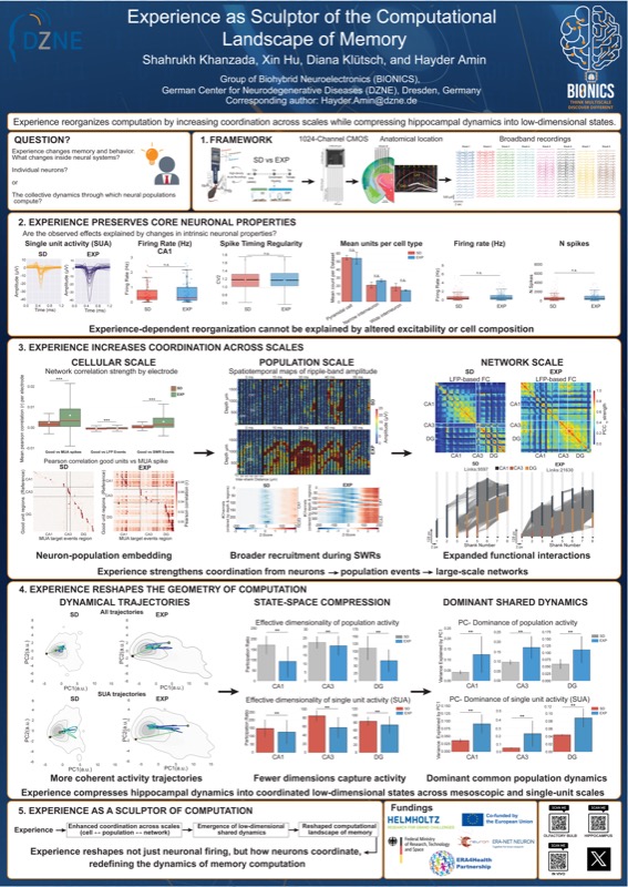 Dr. Hayder Amin — poster
